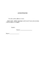 Prakses atskaite 'Mākslas vingrošanas vecākais treneris', 19.