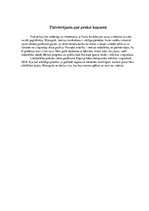 Prakses atskaite 'Mākslas vingrošanas vecākais treneris', 23.