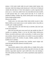 Referāts 'Lasītprasmes veicināšana pirmsskolas vecuma bērniem', 21.