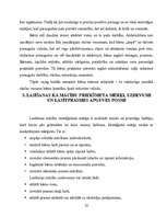 Referāts 'Lasītprasmes veicināšana pirmsskolas vecuma bērniem', 23.