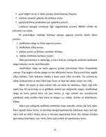 Referāts 'Lasītprasmes veicināšana pirmsskolas vecuma bērniem', 24.