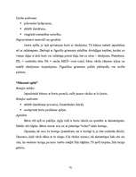 Referāts 'Lasītprasmes veicināšana pirmsskolas vecuma bērniem', 72.