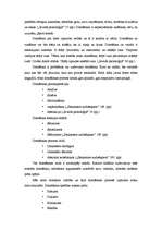 Referāts 'Selektīva informācijas uztvere, sociālā mārketinga pozitīvie efekti', 3.