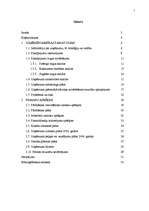 Biznesa plāns 'SIA "Buss tūre" biznesa plāns', 2.