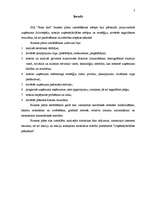 Biznesa plāns 'SIA "Buss tūre" biznesa plāns', 3.