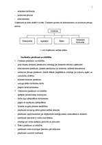 Biznesa plāns 'SIA "Buss tūre" biznesa plāns', 7.