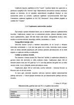 Biznesa plāns 'SIA "Buss tūre" biznesa plāns', 15.