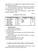 Biznesa plāns 'SIA "Buss tūre" biznesa plāns', 17.