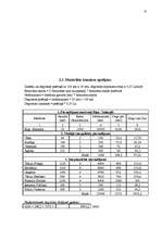 Biznesa plāns 'SIA "Buss tūre" biznesa plāns', 22.