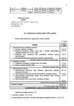 Biznesa plāns 'SIA "Buss tūre" biznesa plāns', 25.