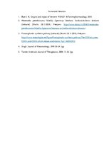 Eseja 'Nesteroīdie pretiekaisuma līdzekļi', 6.