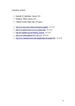 Referāts 'Čērčils jūras lietu ministra amatā', 11.