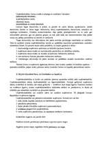 Referāts 'Akciju sabiedrības dibināšana', 6.