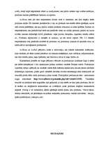 Referāts 'Produktu testi', 7.