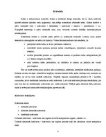 Referāts 'Krāsvielas pārtikas produktos', 6.