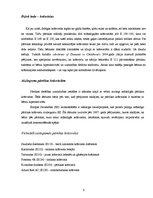 Referāts 'Krāsvielas pārtikas produktos', 8.