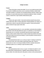 Referāts 'Krāsvielas pārtikas produktos', 10.