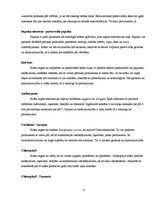 Referāts 'Krāsvielas pārtikas produktos', 11.