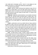 Referāts 'Kinematogrāfija. Kā veidot savu filmu', 13.