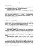 Referāts 'Kinematogrāfija. Kā veidot savu filmu', 14.