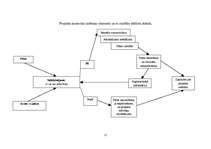 Referāts 'Gājēju drošība Vecpiebalgas pagastā', 25.