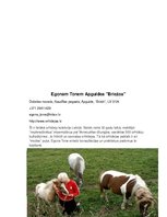 Prezentācija 'Dobeles rojona ekoloģiskie tūrisma objekti', 6.