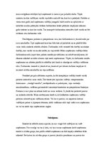 Referāts 'Uzņēmuma "Enigma Flowers" vadītāja loma, vadības stilu un varas veidu analīze', 8.