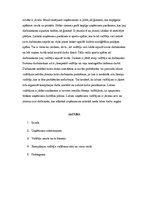 Referāts 'Uzņēmuma "Enigma Flowers" vadītāja loma, vadības stilu un varas veidu analīze', 9.