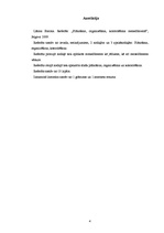 Referāts 'Planning, Organizing and Controlling in Management', 4.