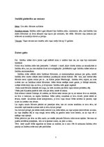 Eseja 'Rūdolfa Blaumaņa "Indrāni". Indrānu mātes tēla analīze', 3.