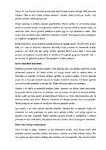 Konspekts 'Jānis Poruks “pērļu zvejnieks”', 14.