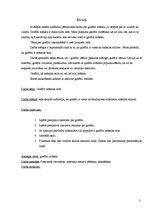 Referāts 'Graffiti māksla', 3.