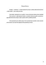 Referāts 'Graffiti māksla', 30.