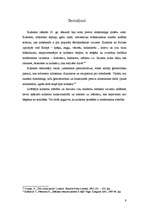 Referāts 'Kubisma rašanās Parīzē laikā no 1907. līdz 1914.gadam - modernisma attīstība vai', 9.