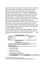 Konspekts 'Ergonomika', 1.