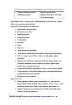 Konspekts 'Ergonomika', 2.