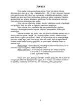 Referāts 'Putnu piesaistīšana, izmantojot barotavas', 3.