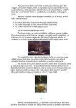 Referāts 'Putnu piesaistīšana, izmantojot barotavas', 8.