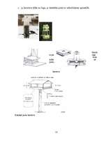 Referāts 'Putnu piesaistīšana, izmantojot barotavas', 10.