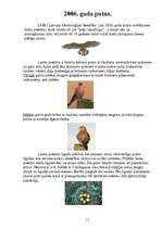 Referāts 'Putnu piesaistīšana, izmantojot barotavas', 11.