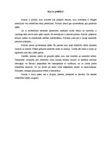 Eseja 'Kas ir politika', 1.