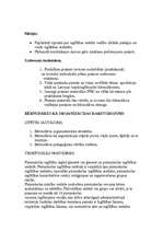 Prakses atskaite 'Izglītības praktikums pirmsskolā', 2.