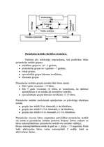 Prakses atskaite 'Izglītības praktikums pirmsskolā', 4.