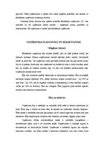 Referāts 'Ēdināšanas uzņēmuma sanitāri - higiēniskais novērtējums', 3.