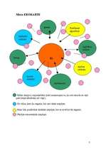 Eseja 'Es savā sociālajā vidē', 5.