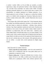 Konspekts 'Nauda, tās vēsture', 7.