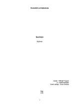 Referāts 'Intelekts', 1.