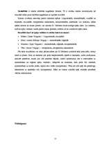 Referāts 'Intelekts', 13.