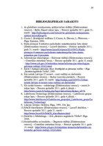 Referāts 'Uzņēmuma vadīšana mainīgas ārējās vides apstākļos', 29.