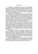 Eseja 'Globalizācija', 1.